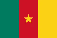 Flag of Cameroon