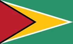 Flag of Guyana